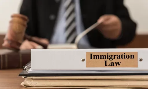 Is an Immigration Lawyer Really Worth the Cost of Hiring for My Immigration Matter?